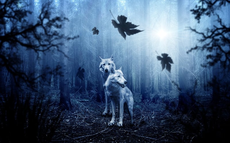 Mystical Adventures