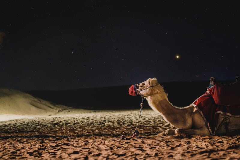 Arabian Nights